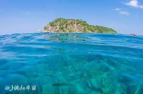 透视行业动态,加入二十万的野马哪款好?求推荐知识星球,开启知识共享之旅